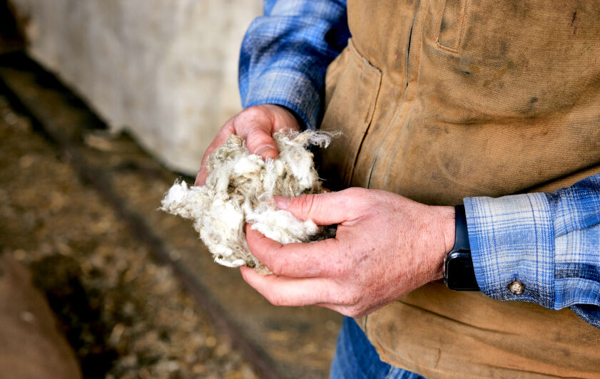 Person holding raw, processed wool
