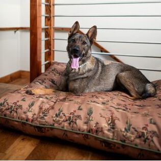 Dog on Western styles Pet Bed