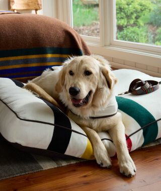 Pendleton pet beds and accessories