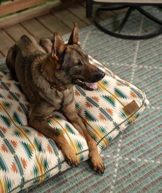 Pendleton Pet Bed with Dog Laying down