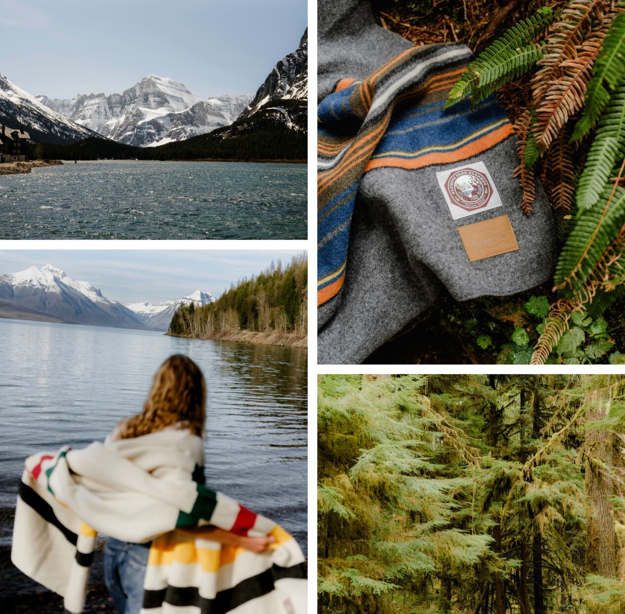 Collage of images from Glacier and Yosemite National Parks