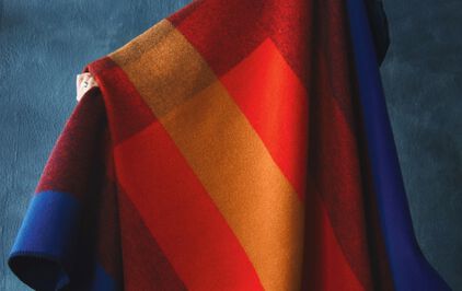 Colorful Hoyt Wool Throw Blanket