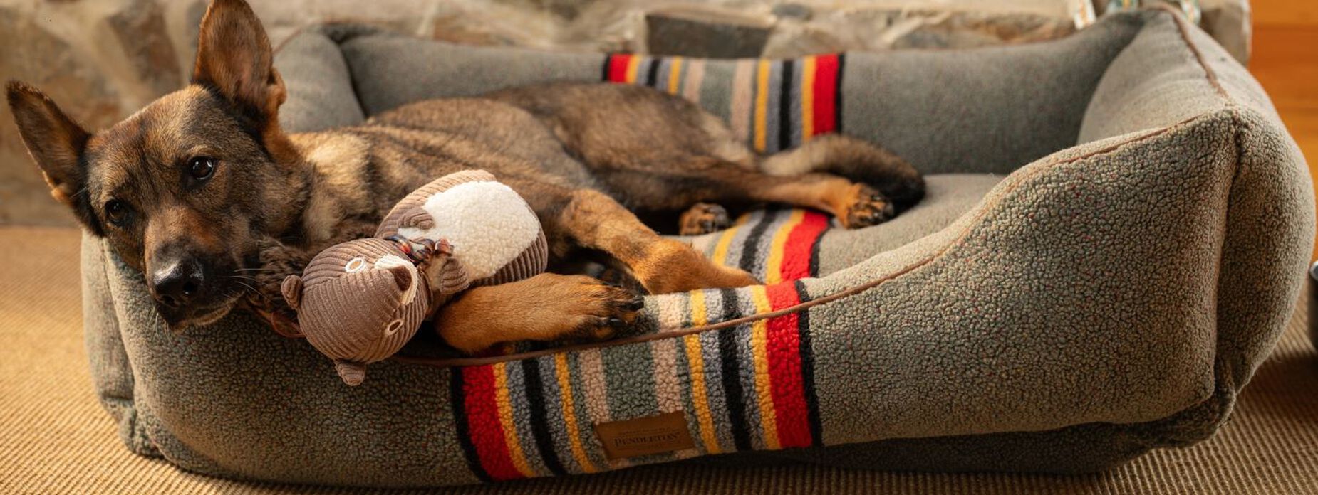 Two Dogs on Pendleton Pet Beds