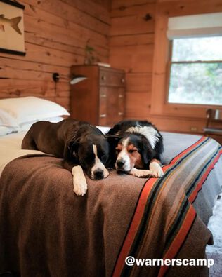 Yakima Blanket With Dogs by @warnerscamp
